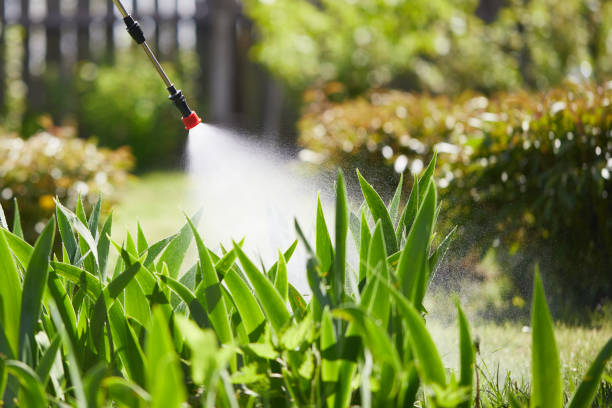 24/7 Emergency Cockroach Control experts in Brunswick, NC